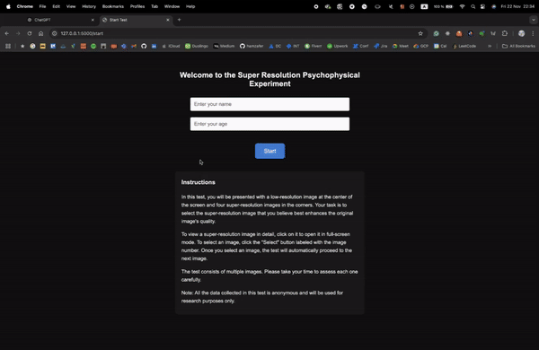 Demo GIF